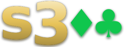 s300 logo
